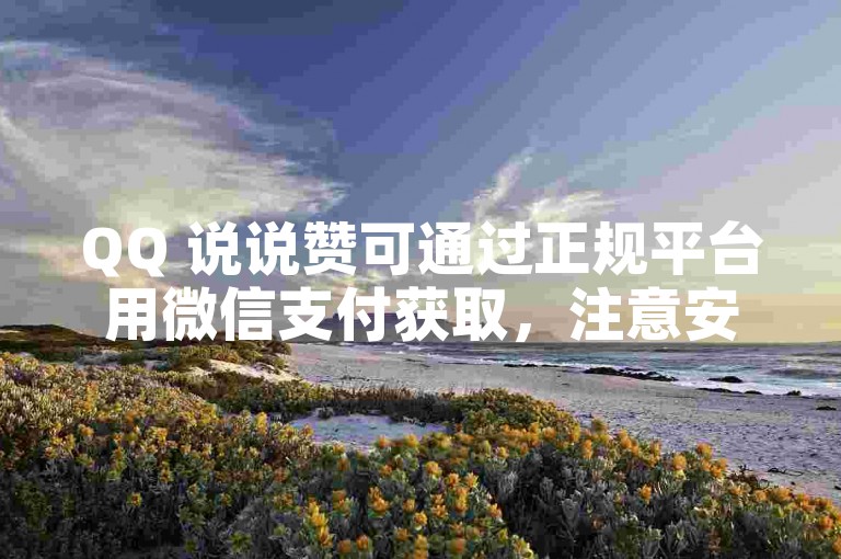 QQ 说说赞可通过正规平台用微信支付获取，注意安全。