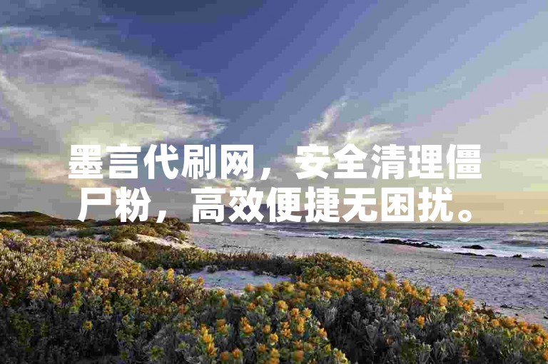 墨言代刷网，安全清理僵尸粉，高效便捷无困扰。