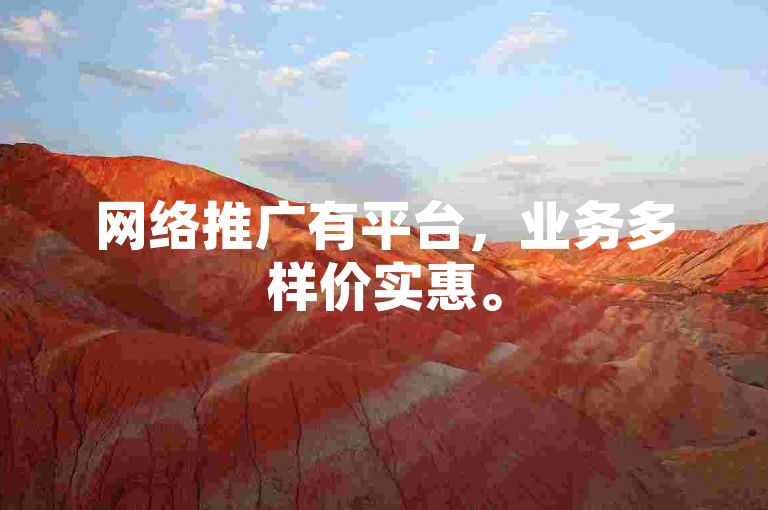 网络推广有平台，业务多样价实惠。