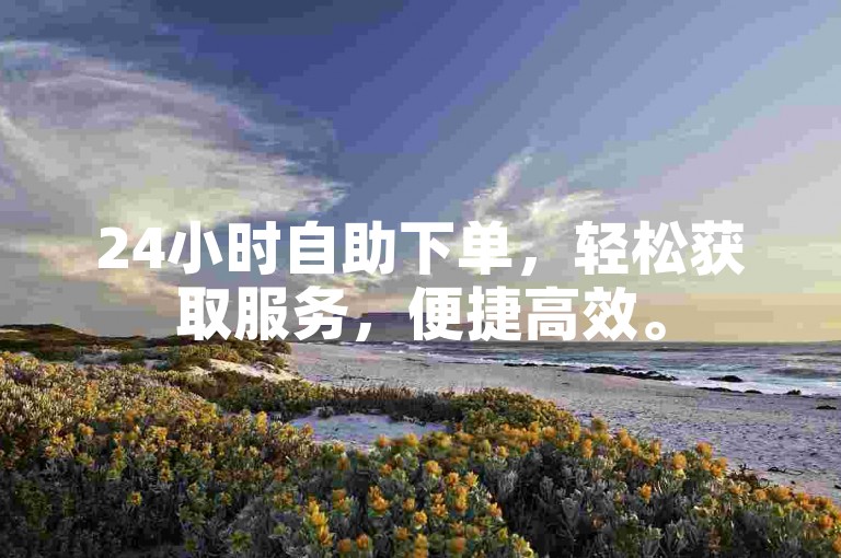 24小时自助下单，轻松获取服务，便捷高效。