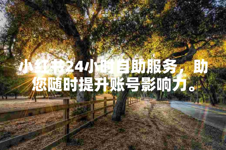 小红书24小时自助服务，助您随时提升账号影响力。
