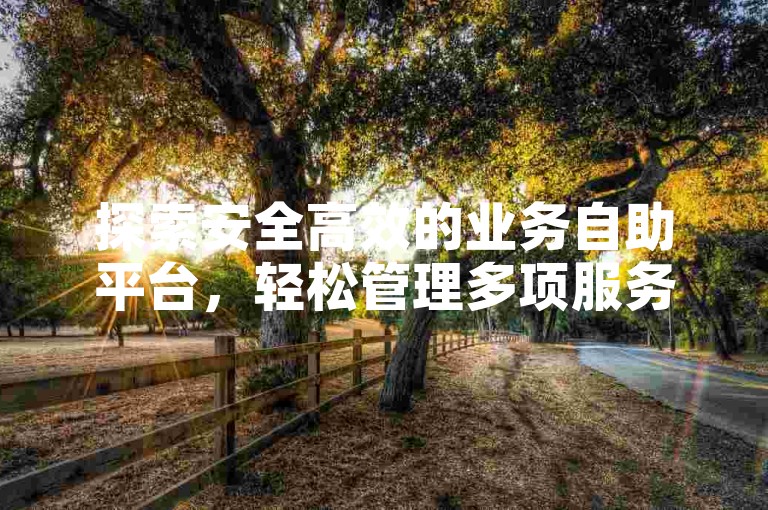 探索安全高效的业务自助平台，轻松管理多项服务。