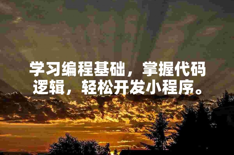 学习编程基础，掌握代码逻辑，轻松开发小程序。