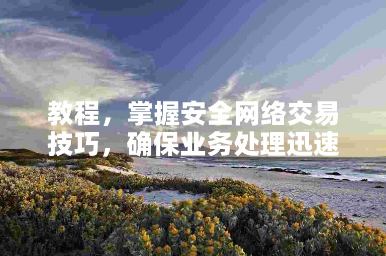 教程，掌握安全网络交易技巧，确保业务处理迅速可靠。