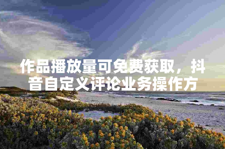 作品播放量可免费获取，抖音自定义评论业务操作方法详解。