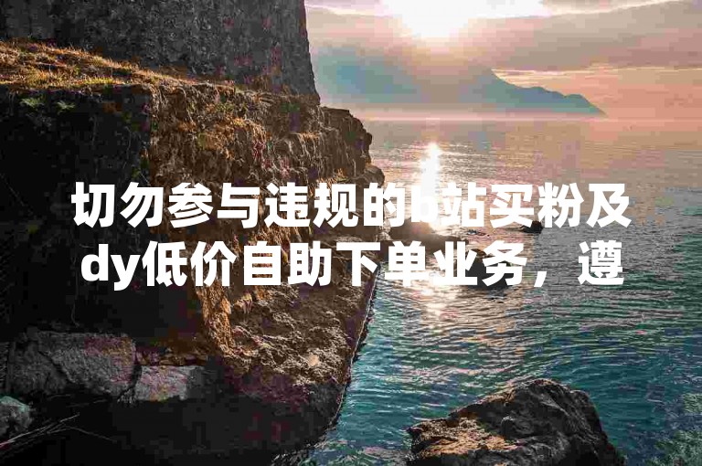 切勿参与违规的b站买粉及dy低价自助下单业务，遵守平台规则。