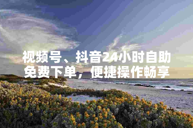 视频号、抖音24小时自助免费下单，便捷操作畅享服务。