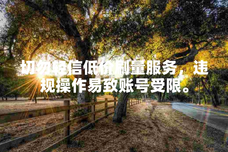 切勿轻信低价刷量服务，违规操作易致账号受限。