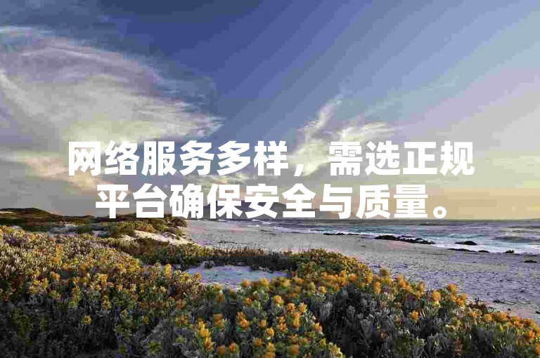 网络服务多样，需选正规平台确保安全与质量。