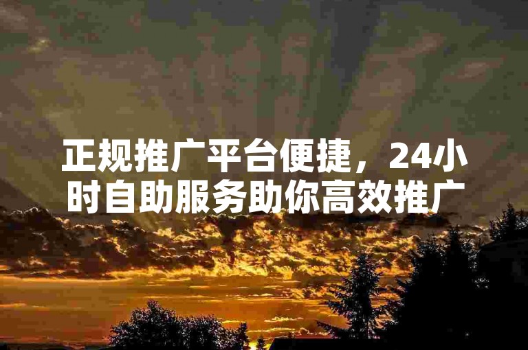 正规推广平台便捷，24小时自助服务助你高效推广。