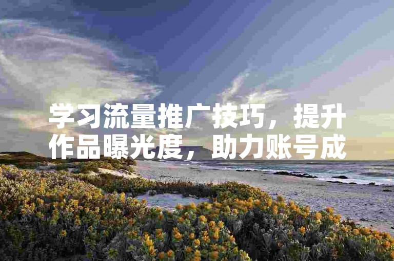 学习流量推广技巧，提升作品曝光度，助力账号成长。