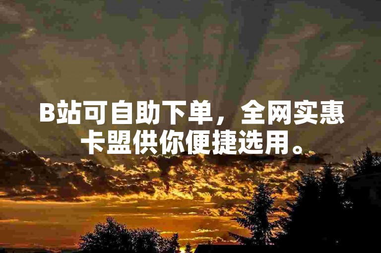 B站可自助下单，全网实惠卡盟供你便捷选用。