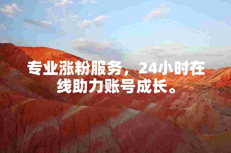 专业涨粉服务，24小时在线助力账号成长。