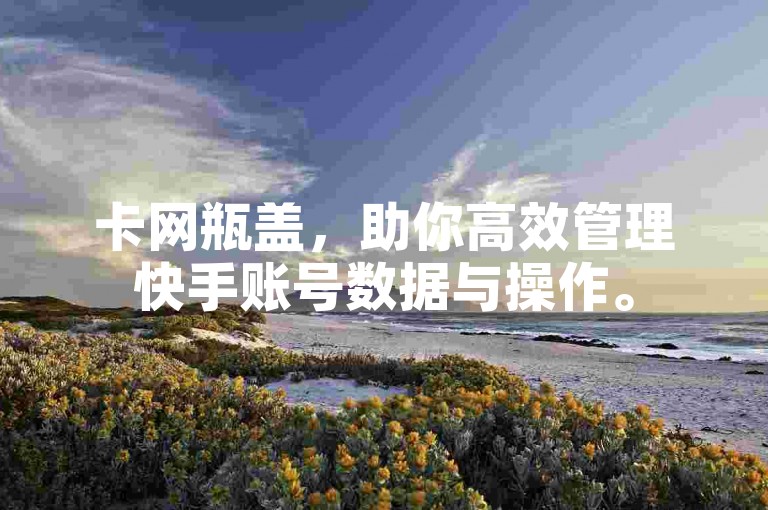 卡网瓶盖，助你高效管理快手账号数据与操作。
