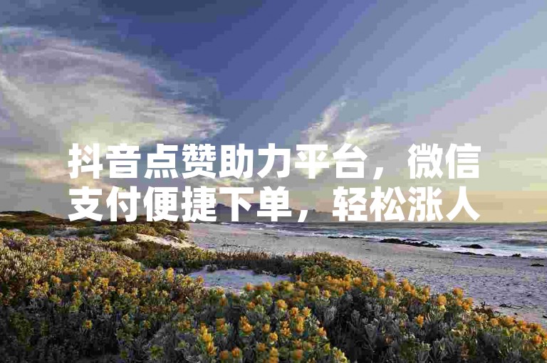 抖音点赞助力平台，微信支付便捷下单，轻松涨人气。