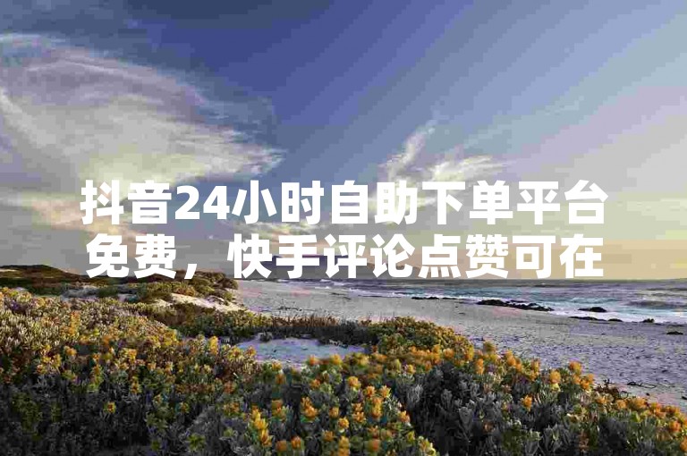 抖音24小时自助下单平台免费，快手评论点赞可在线操作