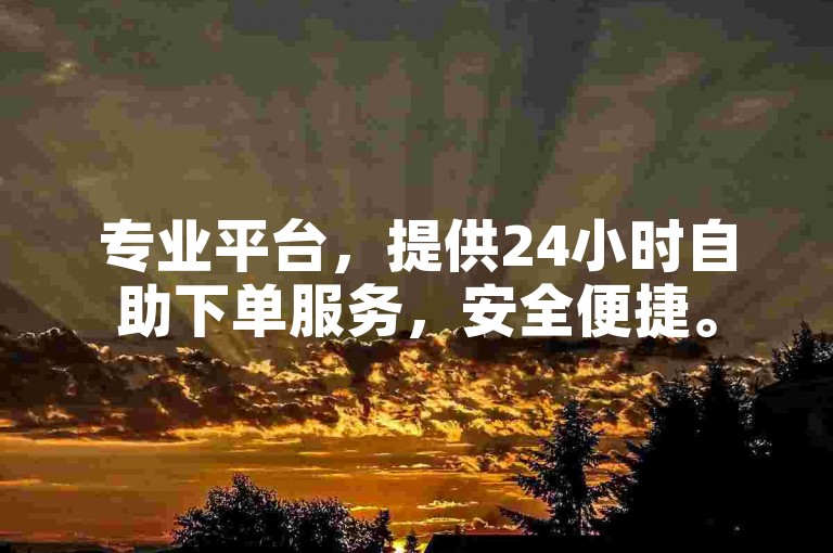 专业平台，提供24小时自助下单服务，安全便捷。