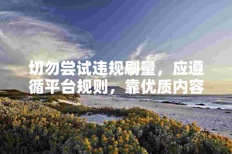 切勿尝试违规刷量，应遵循平台规则，靠优质内容获关注。