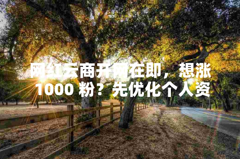 网红云商开网在即，想涨 1000 粉？先优化个人资料与内容。