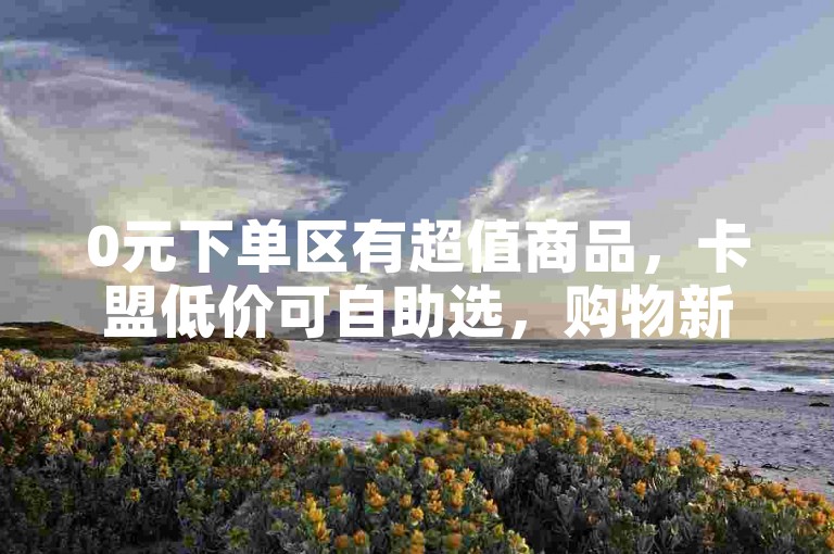 0元下单区有超值商品，卡盟低价可自助选，购物新体验。
