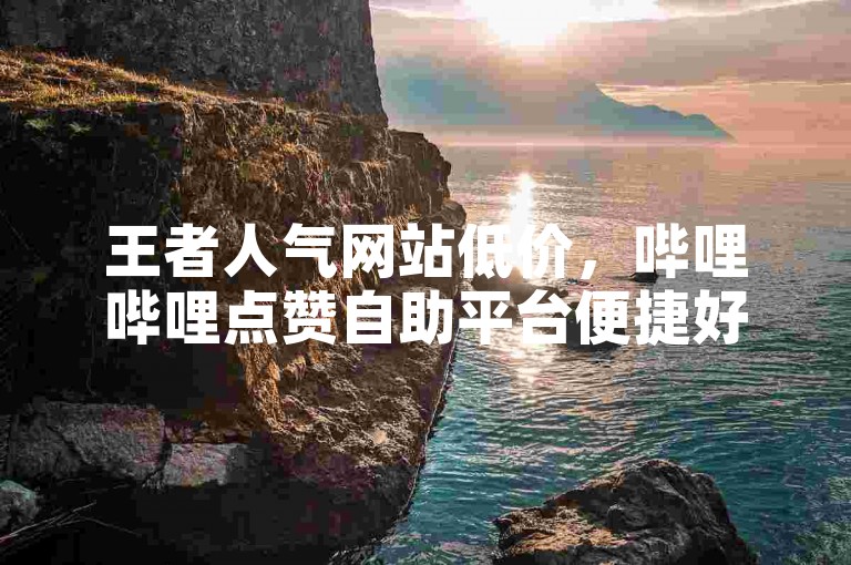 王者人气网站低价，哔哩哔哩点赞自助平台便捷好用。
