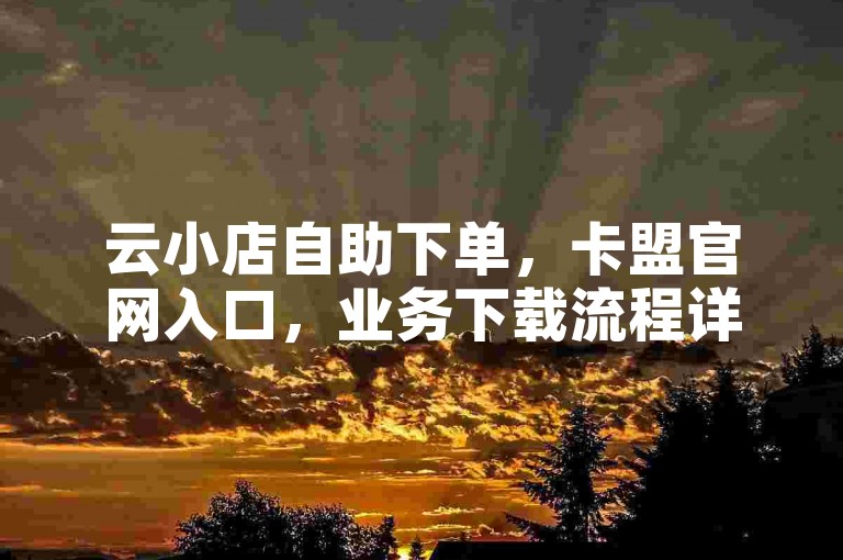 云小店自助下单，卡盟官网入口，业务下载流程详解。