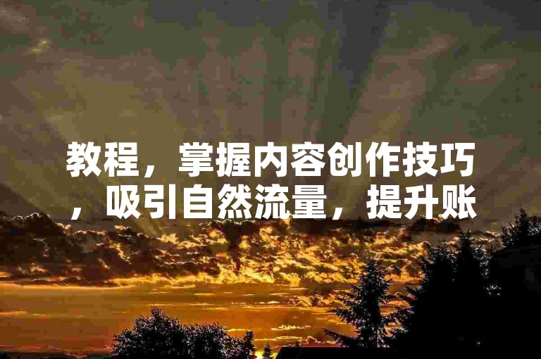 教程，掌握内容创作技巧，吸引自然流量，提升账号影响力。