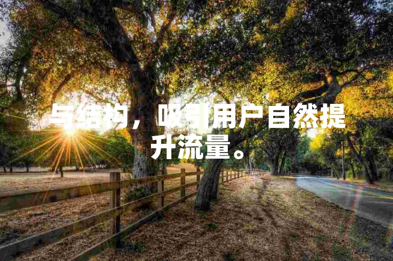 与结构，吸引用户自然提升流量。