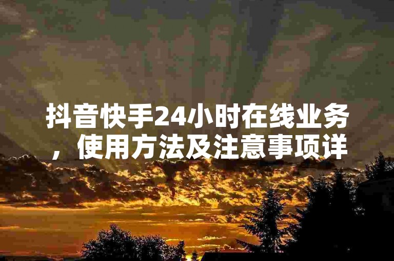 抖音快手24小时在线业务，使用方法及注意事项详解？
