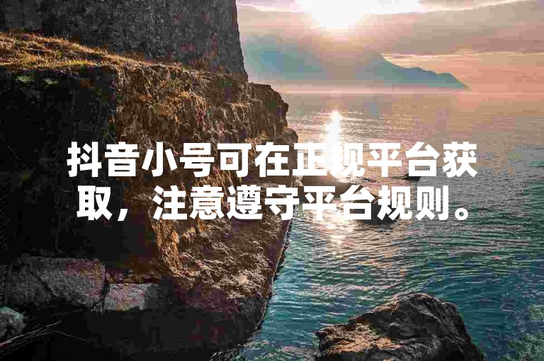 抖音小号可在正规平台获取，注意遵守平台规则。