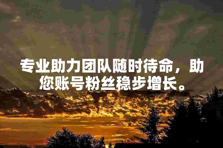 专业助力团队随时待命，助您账号粉丝稳步增长。