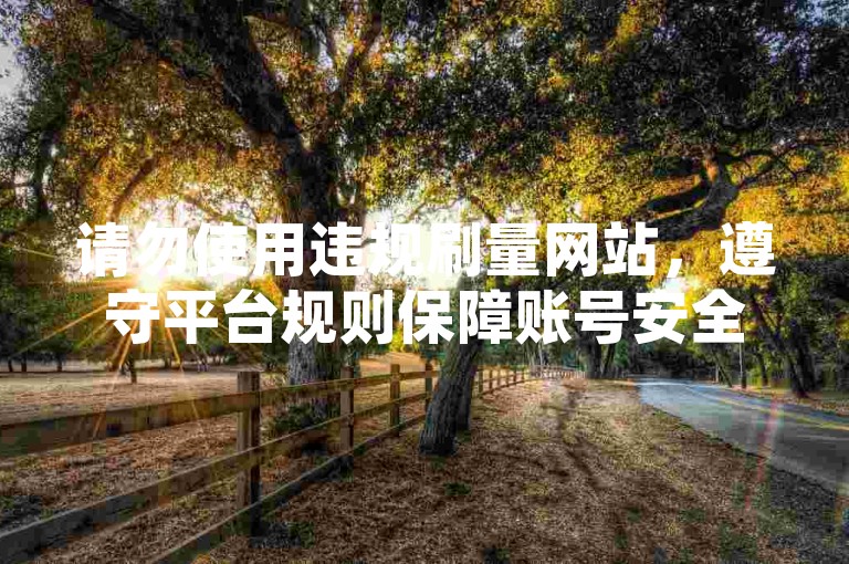 请勿使用违规刷量网站，遵守平台规则保障账号安全。
