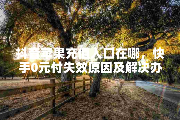抖音苹果充值入口在哪，快手0元付失效原因及解决办法详解。