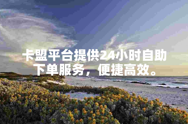 卡盟平台提供24小时自助下单服务，便捷高效。