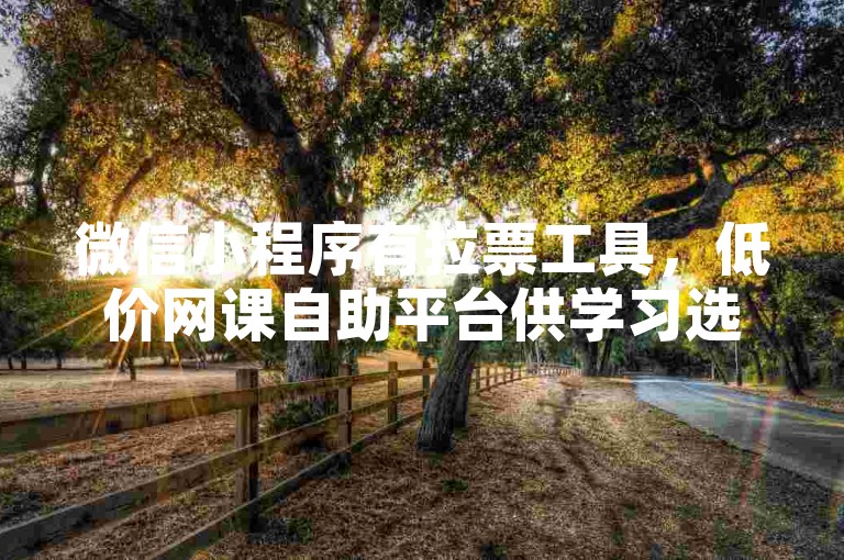 微信小程序有拉票工具，低价网课自助平台供学习选择。