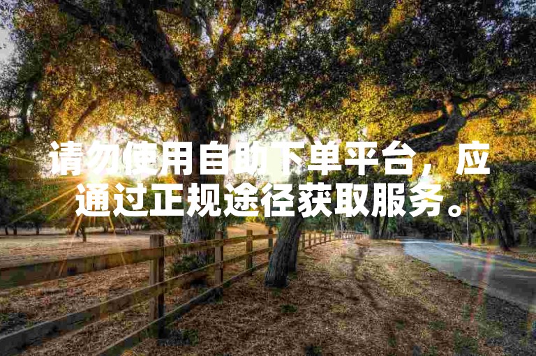 请勿使用自助下单平台，应通过正规途径获取服务。