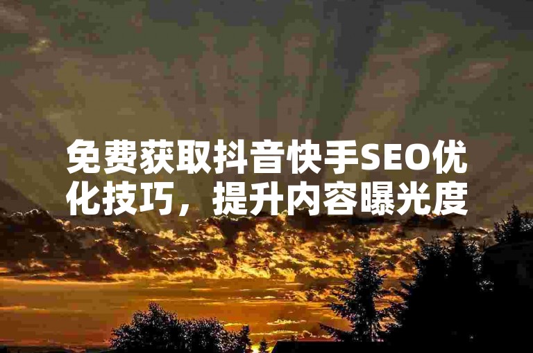 免费获取抖音快手SEO优化技巧，提升内容曝光度。