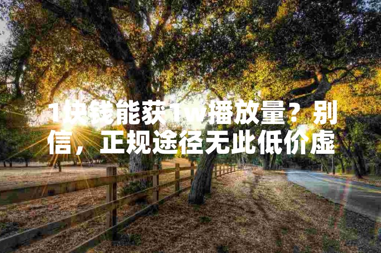 1块钱能获1w播放量？别信，正规途径无此低价虚假交易。