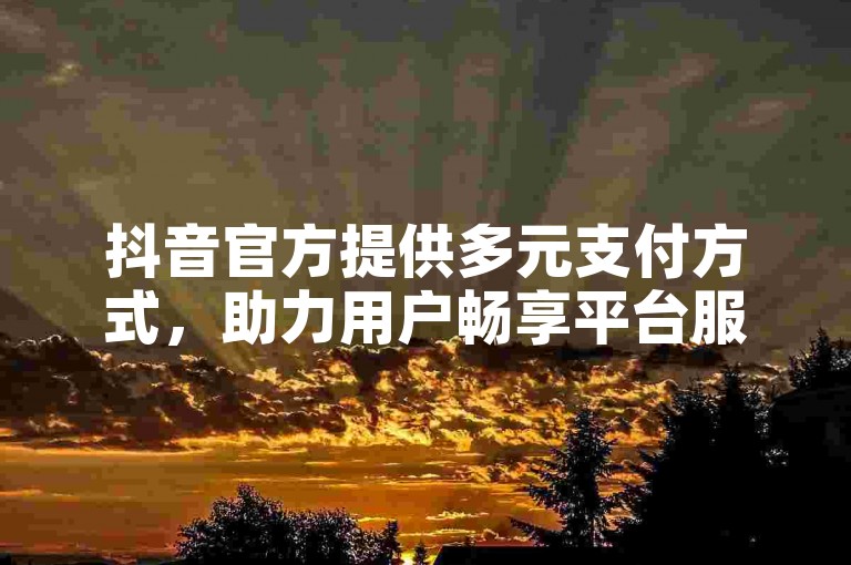 抖音官方提供多元支付方式，助力用户畅享平台服务