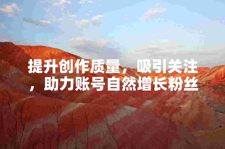 提升创作质量，吸引关注，助力账号自然增长粉丝与流量。