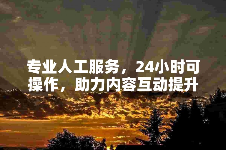专业人工服务，24小时可操作，助力内容互动提升。