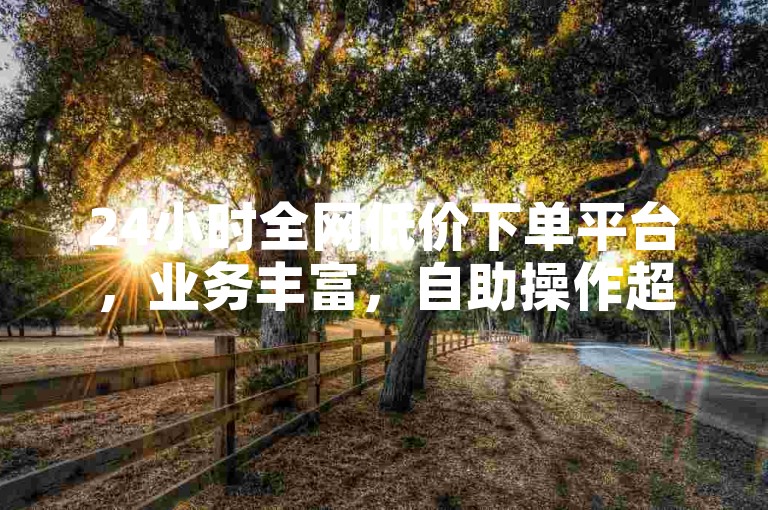 24小时全网低价下单平台，业务丰富，自助操作超便捷。