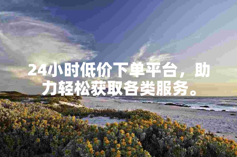 24小时低价下单平台，助力轻松获取各类服务。