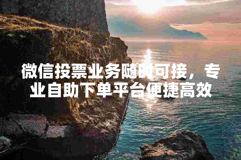 微信投票业务随时可接，专业自助下单平台便捷高效。