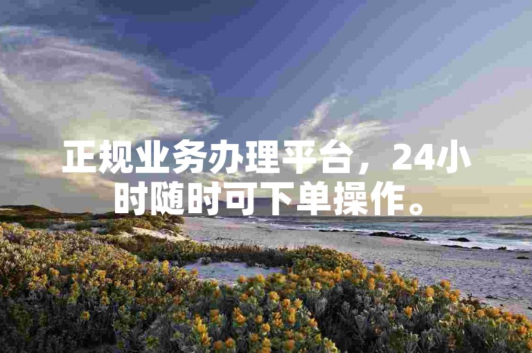 正规业务办理平台，24小时随时可下单操作。