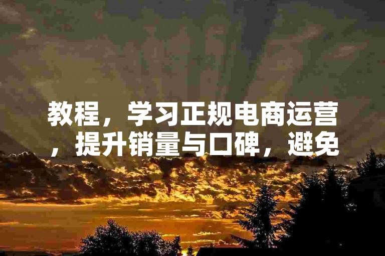 教程，学习正规电商运营，提升销量与口碑，避免违规操作。