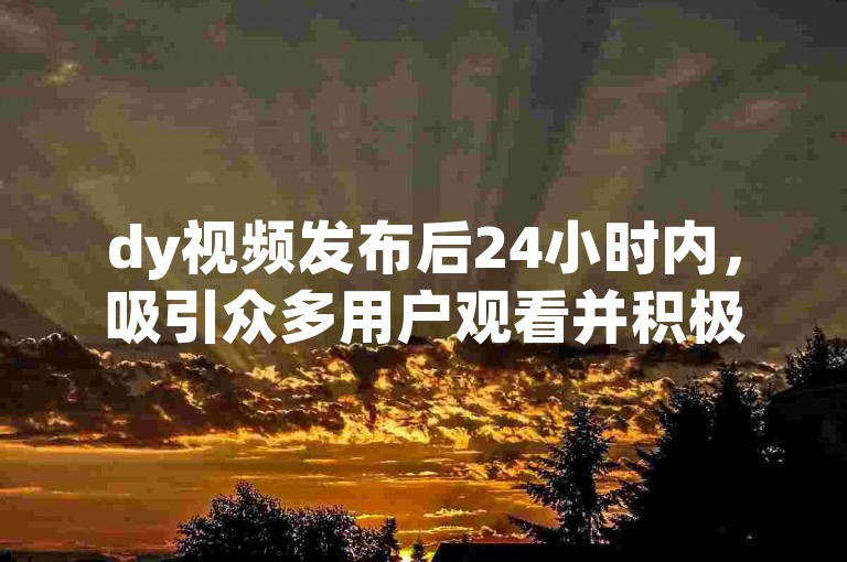 dy视频发布后24小时内，吸引众多用户观看并积极互动。