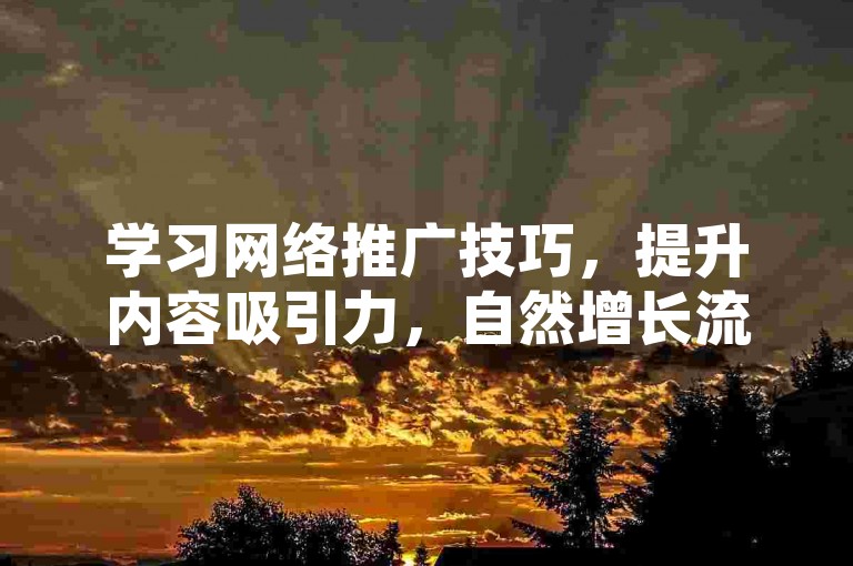 学习网络推广技巧，提升内容吸引力，自然增长流量。