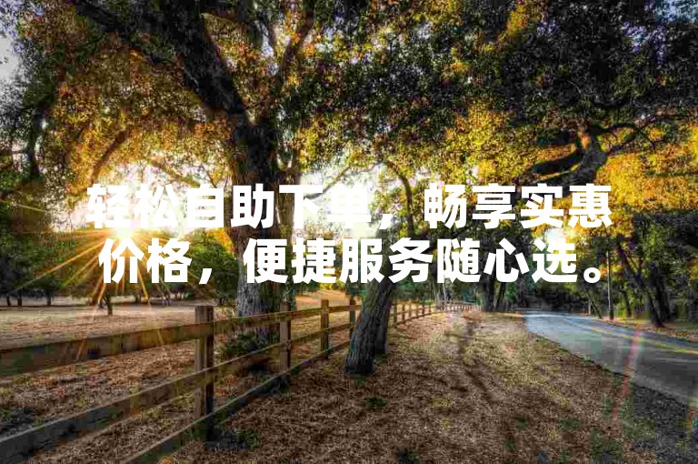轻松自助下单，畅享实惠价格，便捷服务随心选。