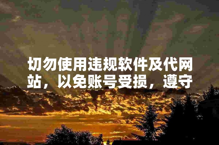 切勿使用违规软件及代网站，以免账号受损，遵守平台规则。